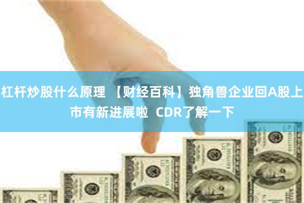 杠杆炒股什么原理 【财经百科】独角兽企业回A股上市有新进展啦  CDR了解一下