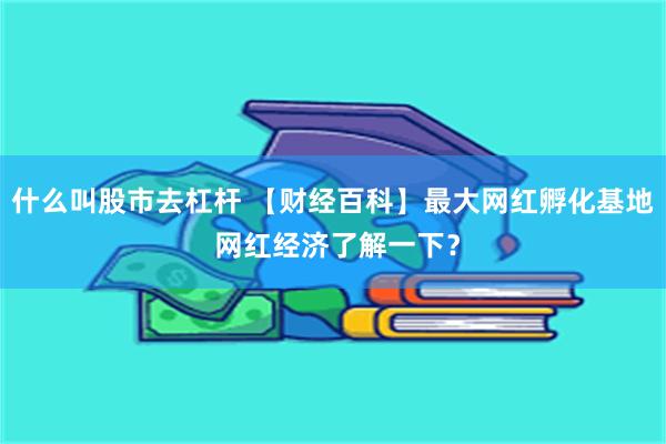 什么叫股市去杠杆 【财经百科】最大网红孵化基地 网红经济了解一下？