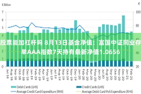 股票能加杠杆吗 8月13日基金净值：富国中证同业存单AAA指数7天持有最新净值1.0656