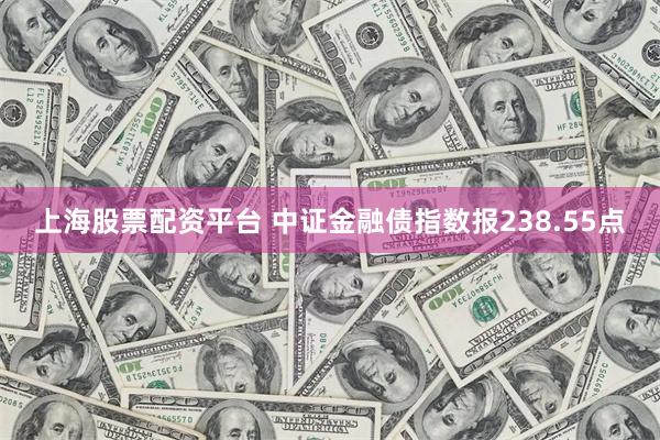 上海股票配资平台 中证金融债指数报238.55点