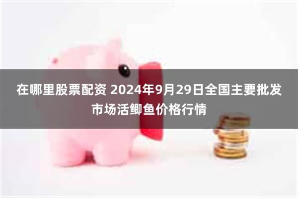 在哪里股票配资 2024年9月29日全国主要批发市场活鲫鱼价格行情