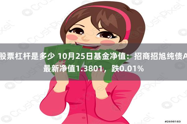 股票杠杆是多少 10月25日基金净值：招商招旭纯债A最新净值1.3801，跌0.01%