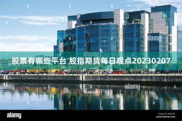 股票有哪些平台 股指期货每日观点20230207