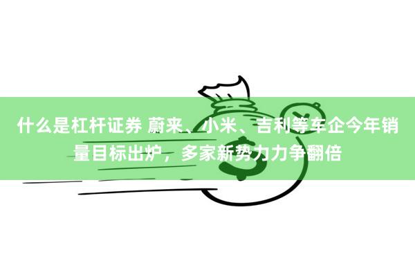 什么是杠杆证券 蔚来、小米、吉利等车企今年销量目标出炉，多家新势力力争翻倍