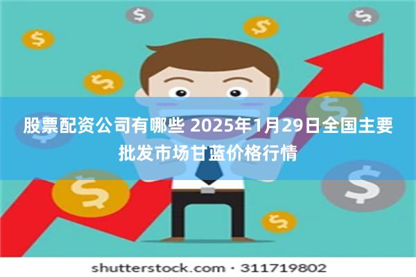 股票配资公司有哪些 2025年1月29日全国主要批发市场甘蓝价格行情