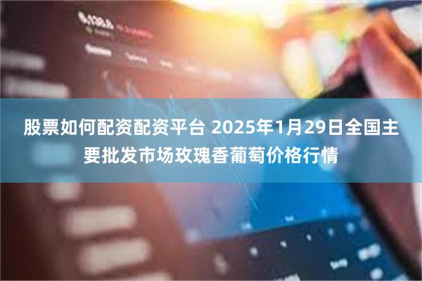 股票如何配资配资平台 2025年1月29日全国主要批发市场玫瑰香葡萄价格行情