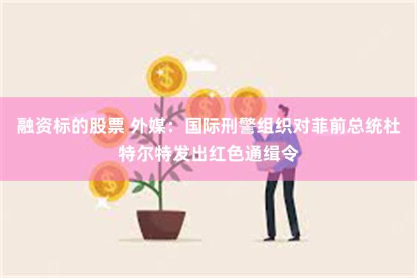 融资标的股票 外媒：国际刑警组织对菲前总统杜特尔特发出红色通缉令